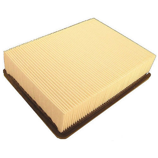 Club Car DS Air Filter (92+)