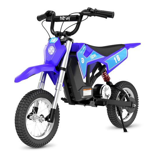 Hiboy DK1