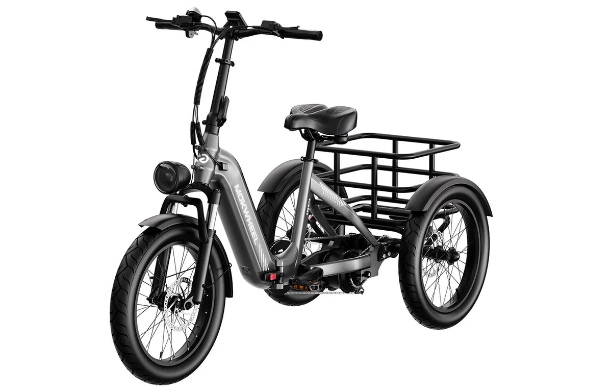 Granite Electric Trike