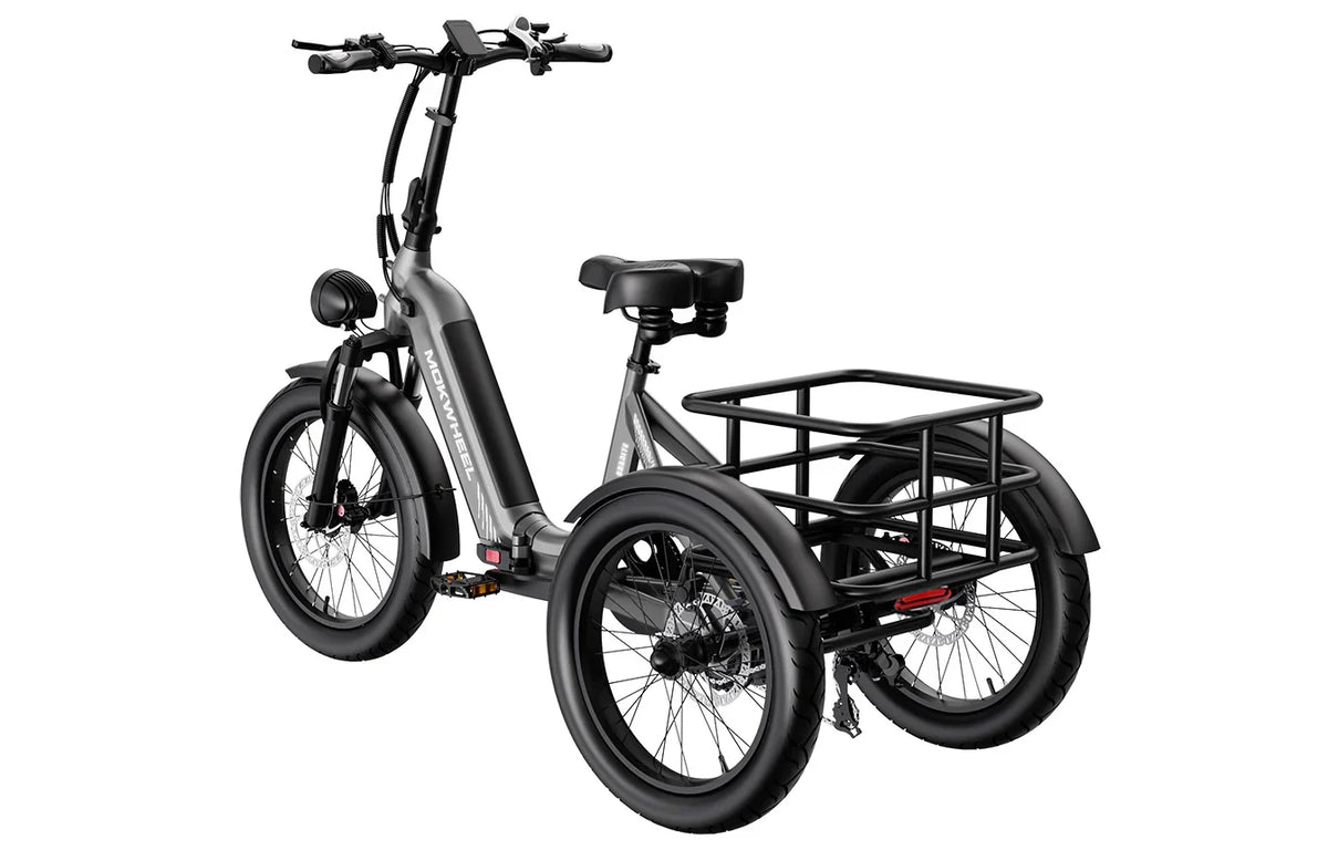 Granite Electric Trike