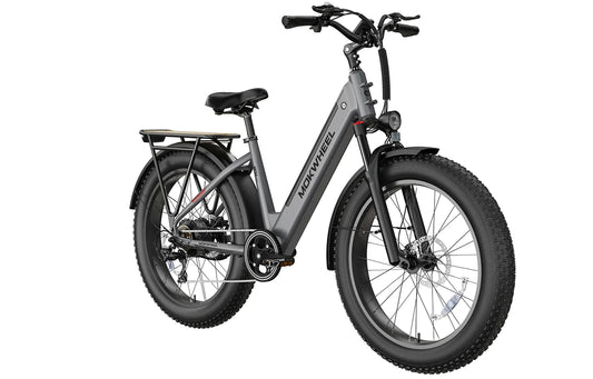 Mokwheel Mesa Plus Step Through