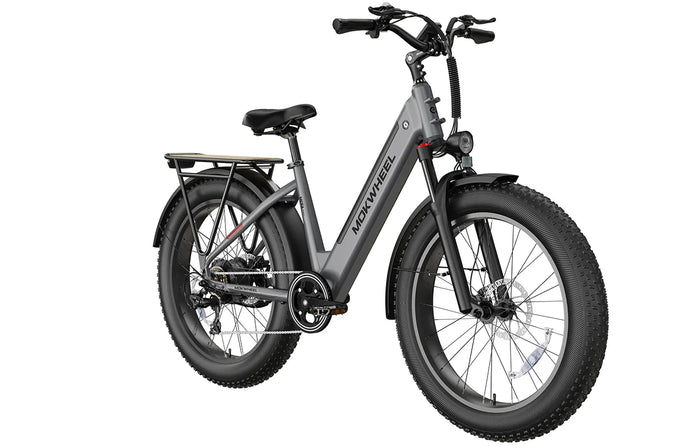 Mokwheel Mesa Plus Step Through