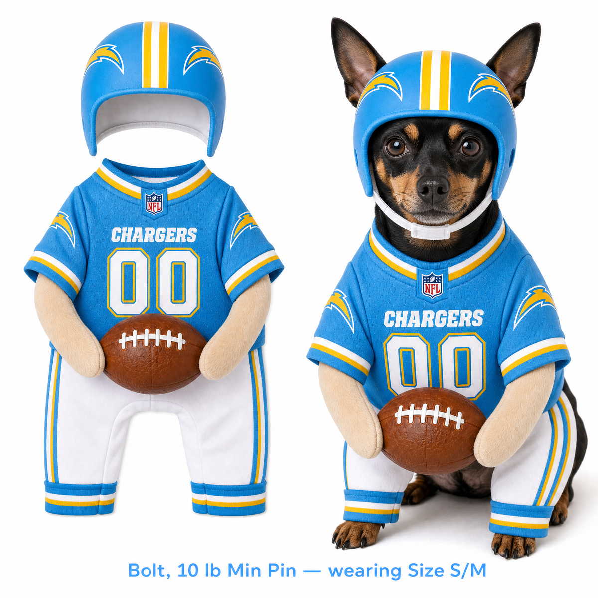 NFL Football Dog Costume™