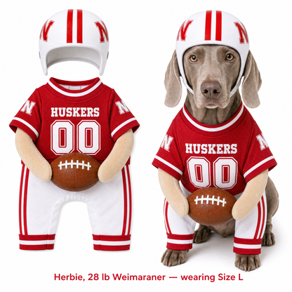 College Football Dog Costume™