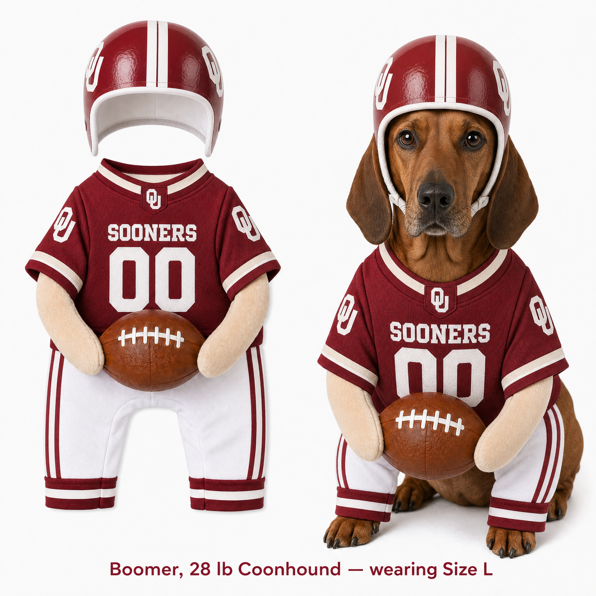 College Football Dog Costume™