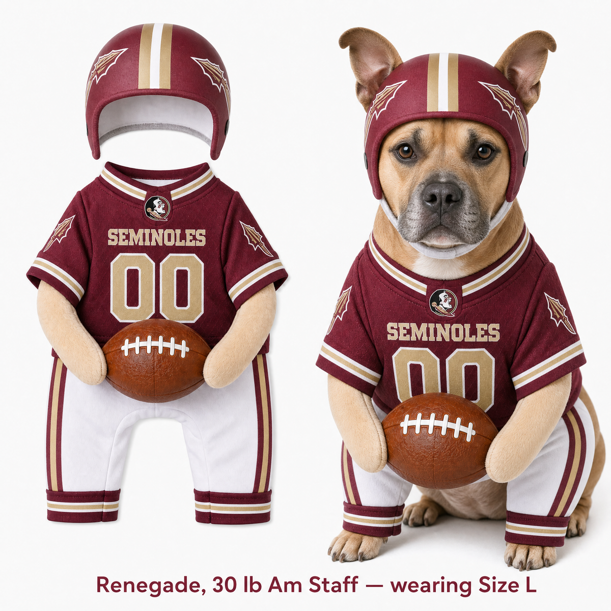 College Football Dog Costume™