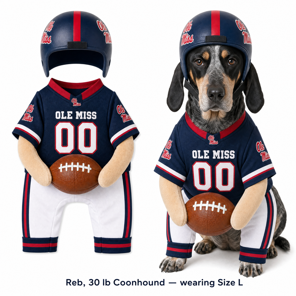 College Football Dog Costume™