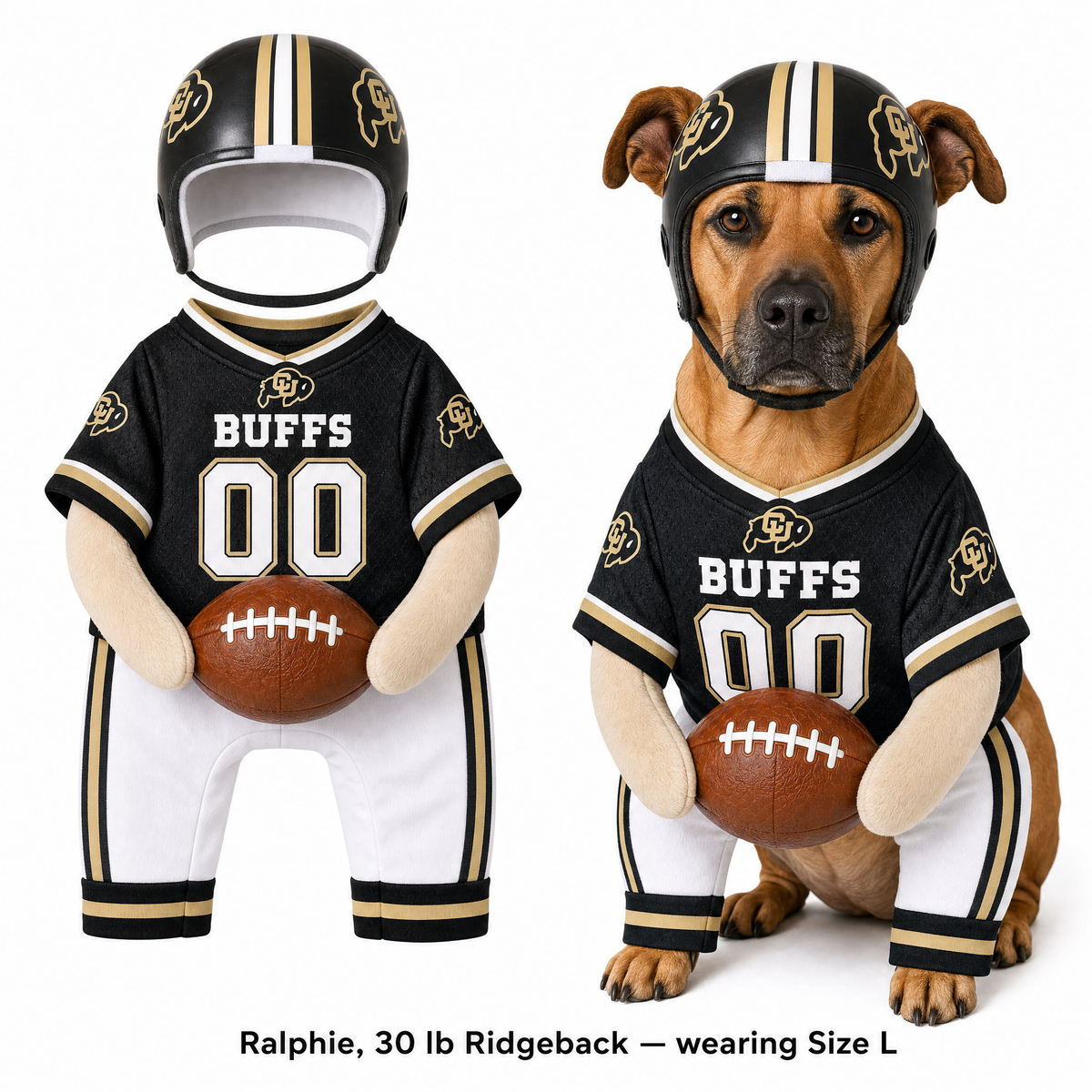College Football Dog Costume™