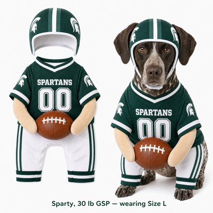 College Football Dog Costume™