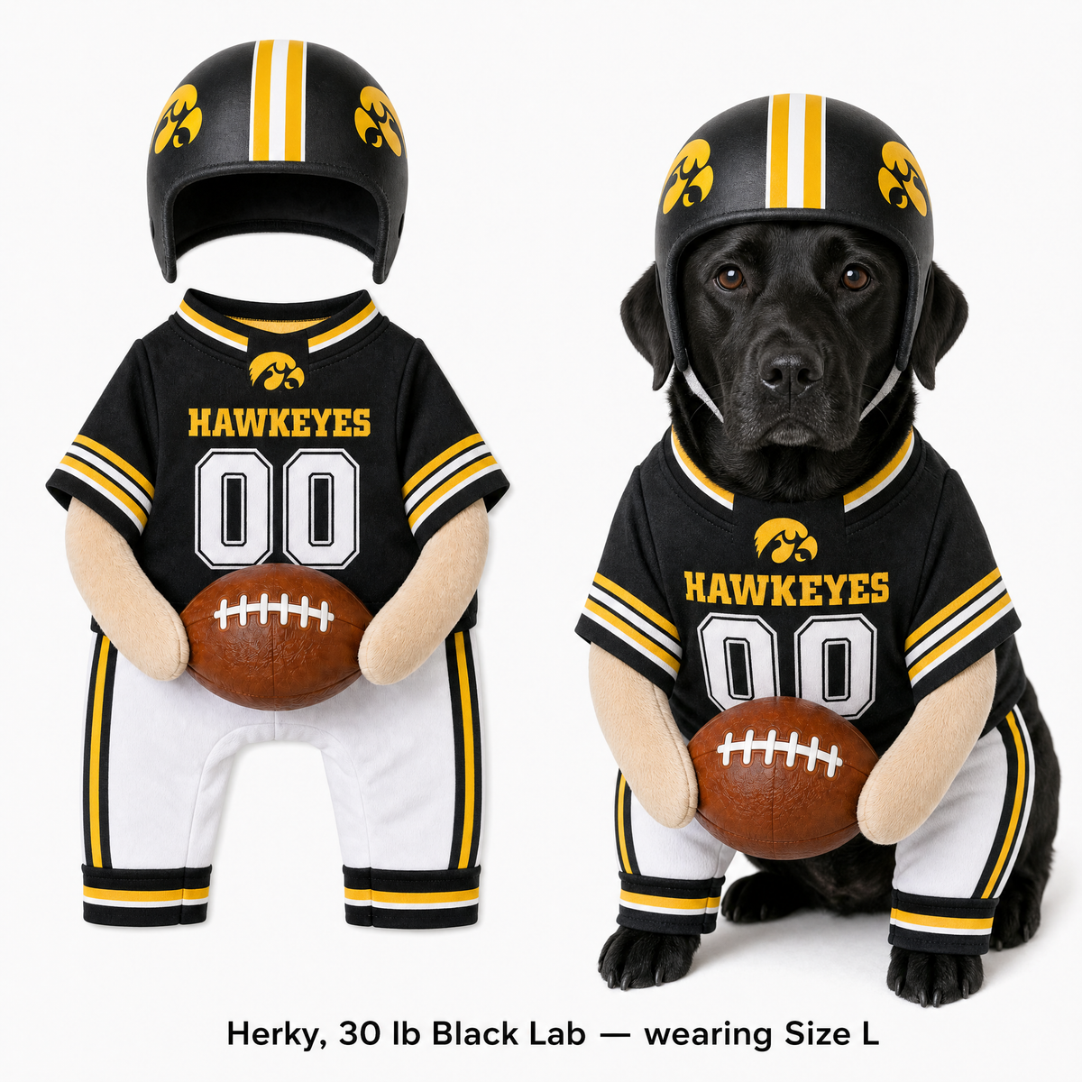 College Football Dog Costume™