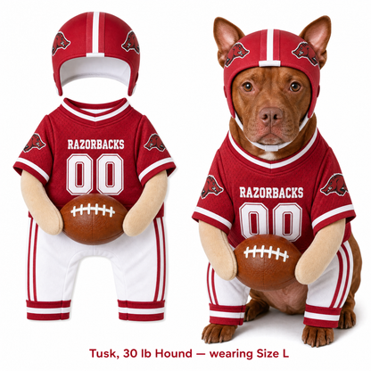 College Football Dog Costume™