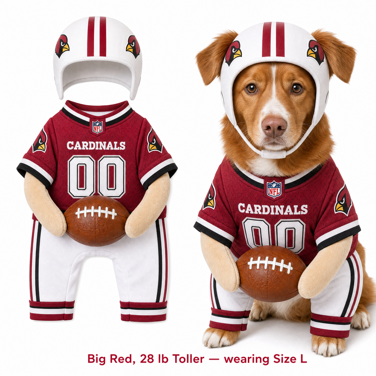 NFL Football Dog Costume™