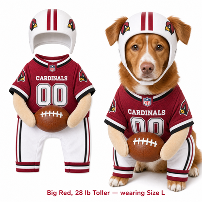 NFL Football Dog Costume™