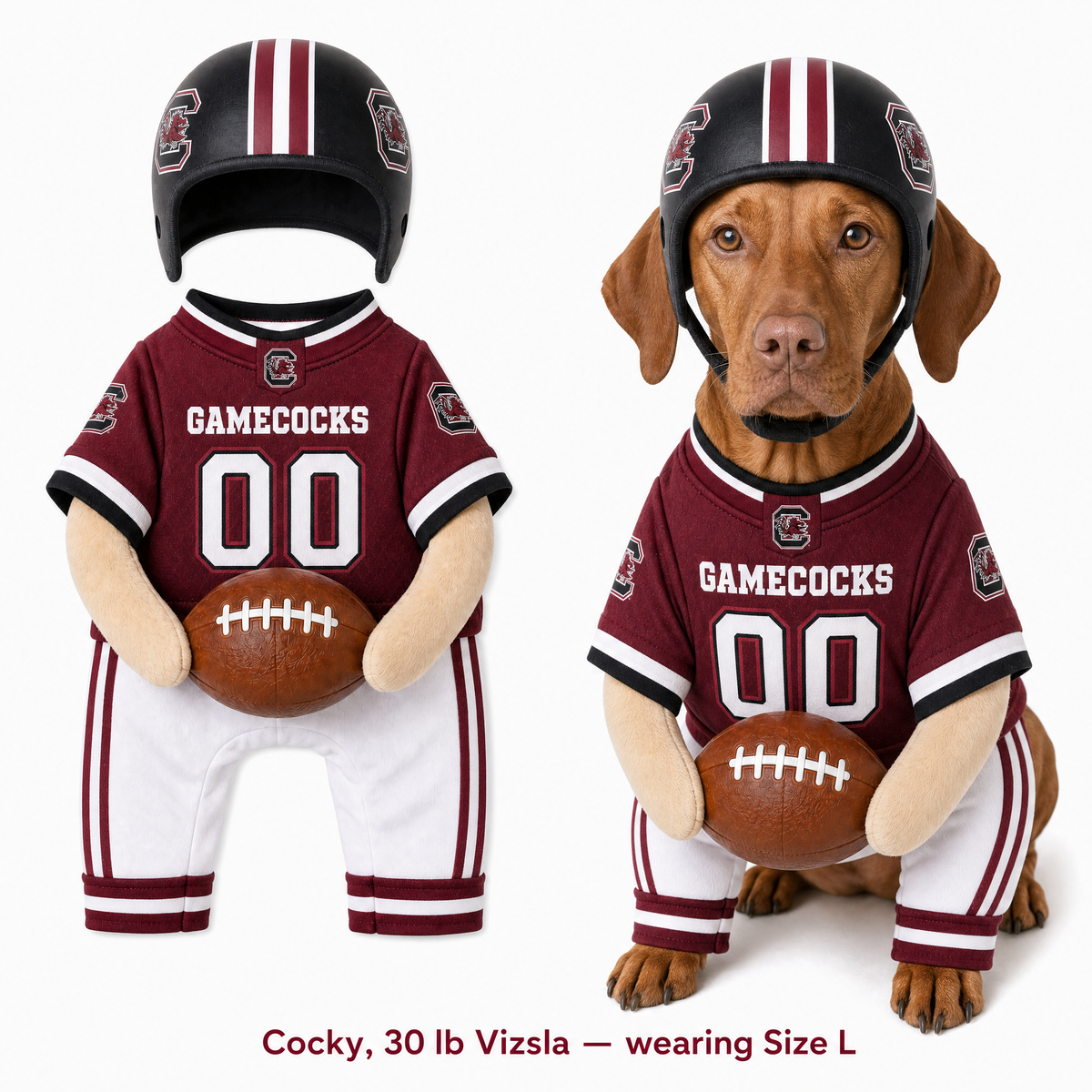 College Football Dog Costume™
