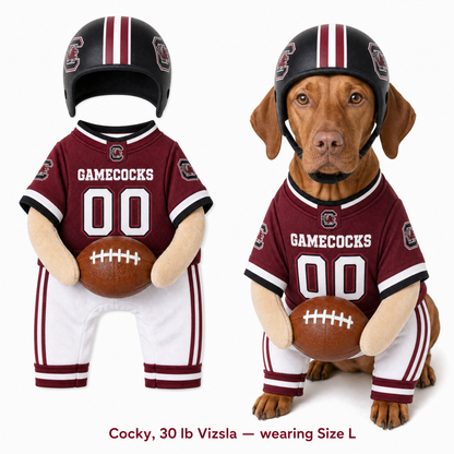College Football Dog Costume™
