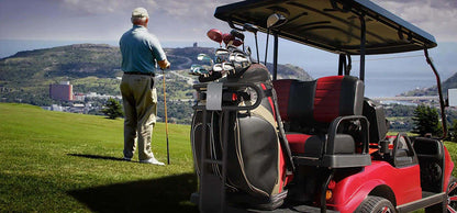 Evolution Classic 4 Plus | 4 Person Electric LSV Golf Cart